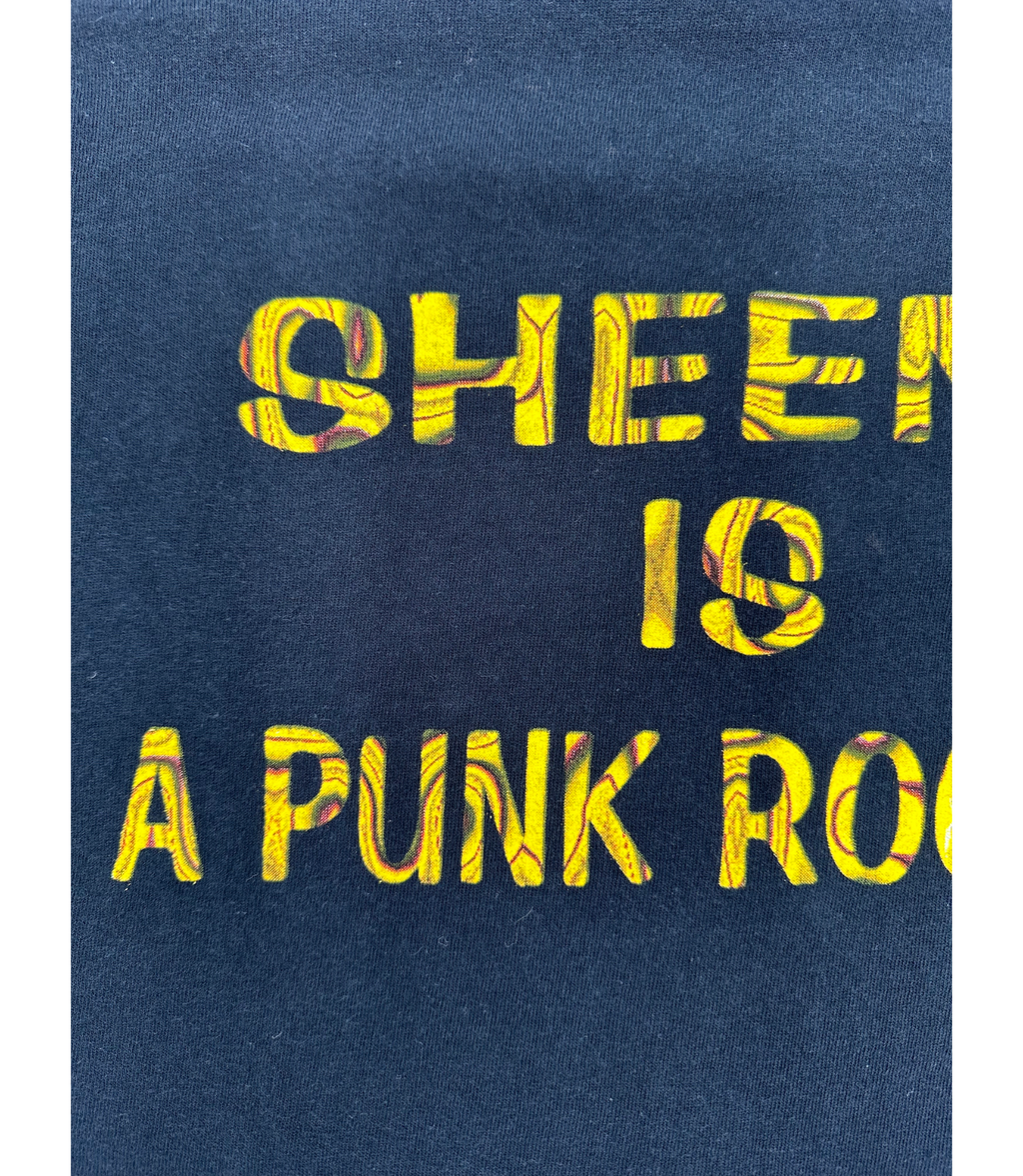 Ramones 1999 - Sheena is a punk